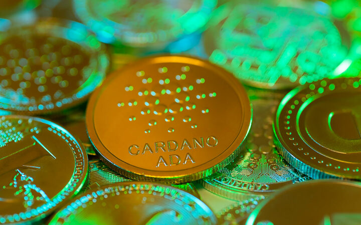 Cardano Chang Hard Fork in View as Node Operator Integration Soars