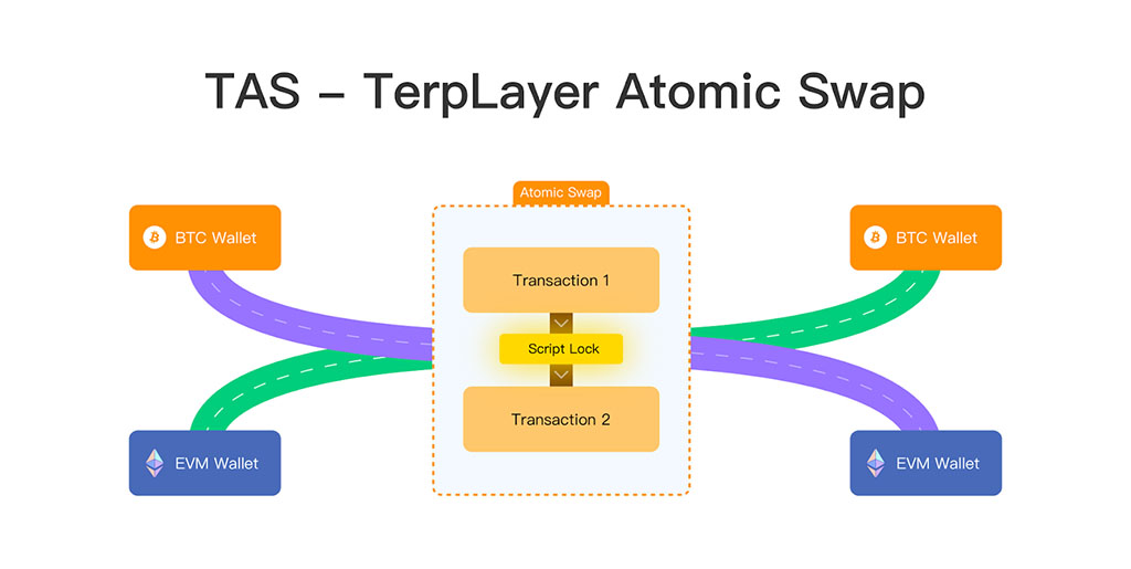 Reinventing Bitcoin Liquidity with TerpLayer's New Protocol