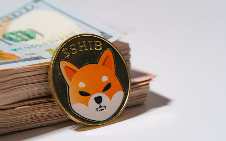 Shiba Inu Burn Rate Skyrockets 13,900% as SHIB Price Eyes Rebound