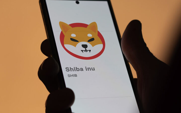 Shiba Inu Burn Rate Skyrockets 1250% with ShibTorch Portal Launch, SHIB Price Rally Ahead?