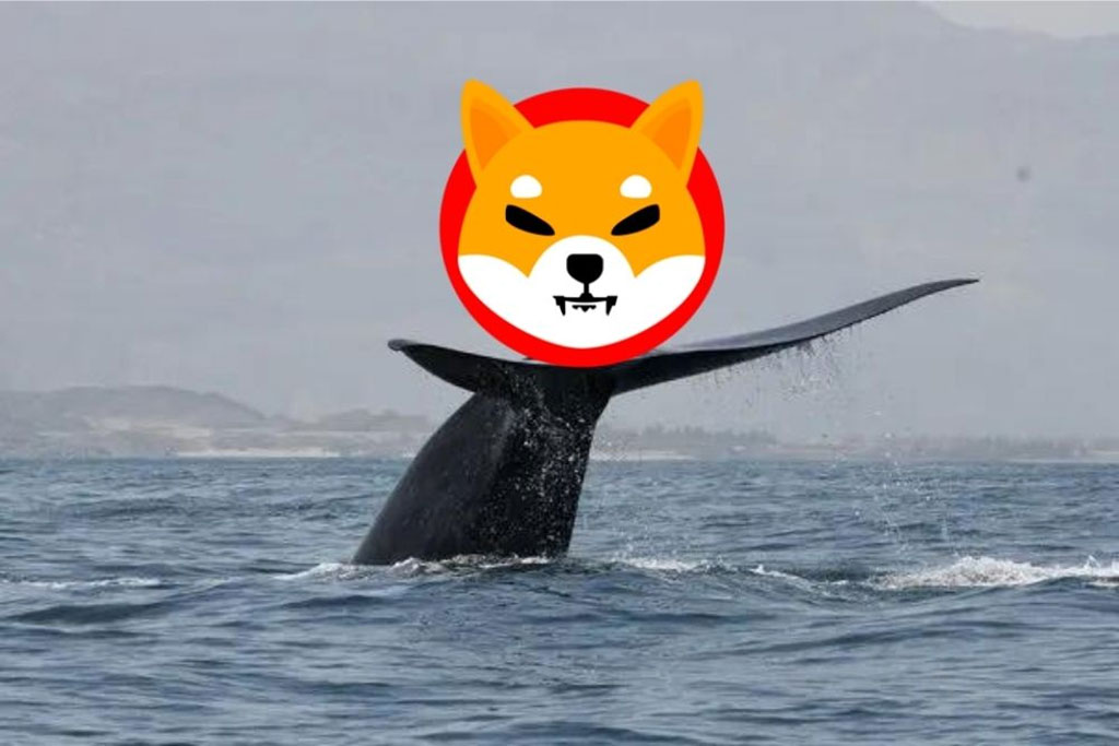 Whales Aggressively Stock Up on Shiba Inu – What Does This Mean for the SHIB Price?