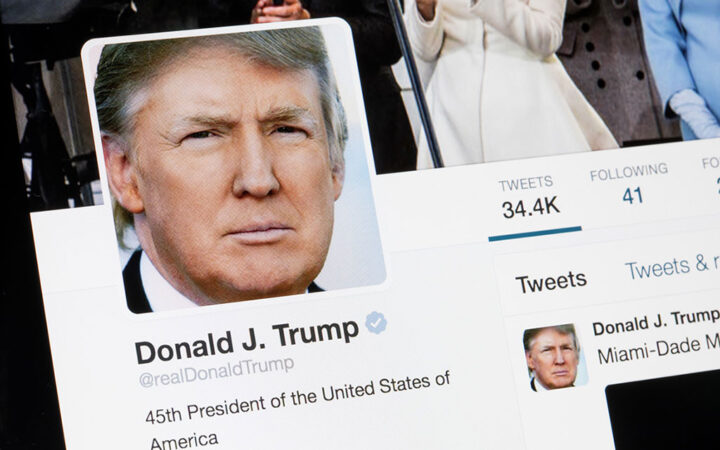 Donald Trump’s Crypto Project Inspired by DeFi Protocol Dough Finance