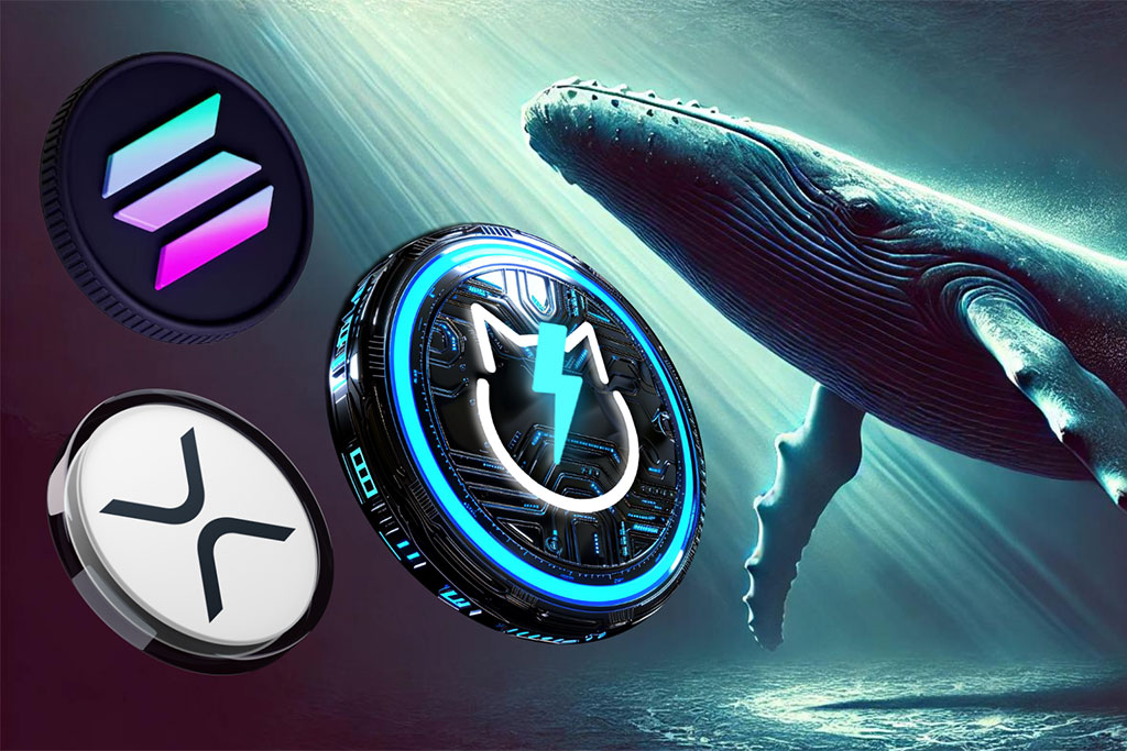 XRP vs Solana vs JetBolt: Which Altcoin Should I Buy?