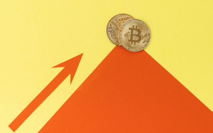 Bitcoin (BTC) Price on Cusp of Major Parabolic Rally beyond $74K Fueled by Whale Investors