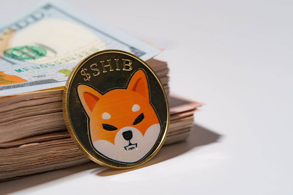 Shiba Inu Whales on Strong Accumulation Spree, 30% SHIB Price Rally Ahead?