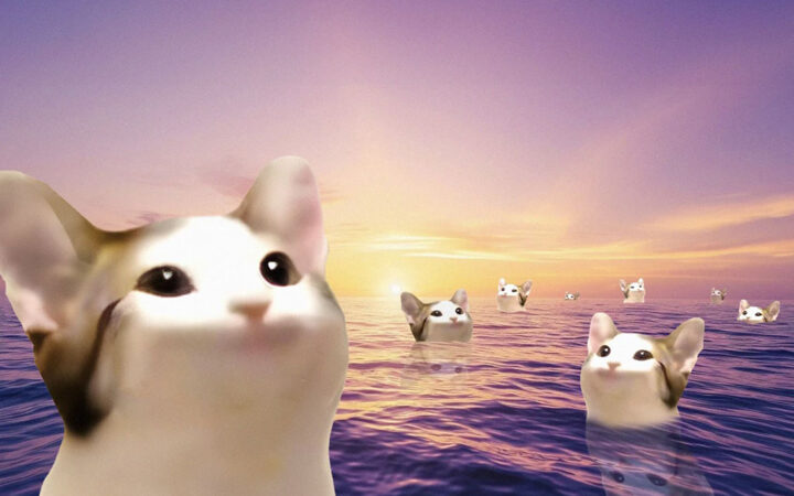 Solana Meme Coin POPCAT Hits New All-Time High Flipping Bonk and Floki