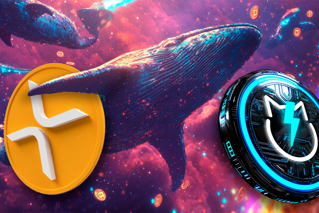 XRP Escapes Near Crash as Whales Rush to JetBolt Presale