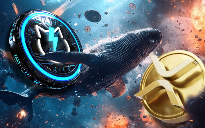 XRP Headed for Massive Crash while JetBolt Whale Activity Skyrockets