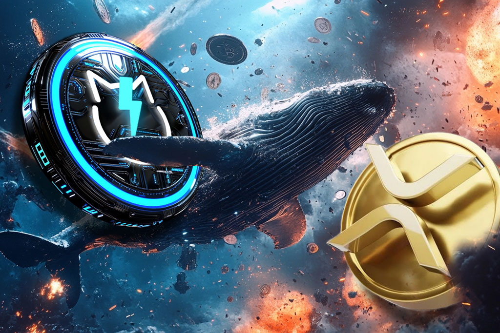 XRP Headed for Massive Crash while JetBolt Whale Activity Skyrockets
