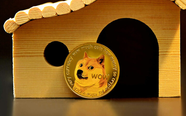 Dogecoin Soars Over 51% as Investors Eye $1 Target: Will Meme Coin Reach This Psychological Level?