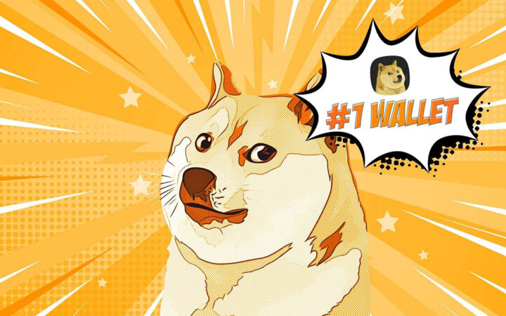 Dogecoin Wallet Provider MyDoge Announces DogeOS Launch, Sparking Community Excitement