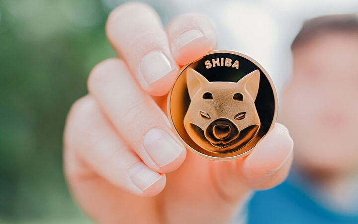 Shiba Inu Creator’s Wallet Possibly Revealed, SHIB Price Drops 3.4%