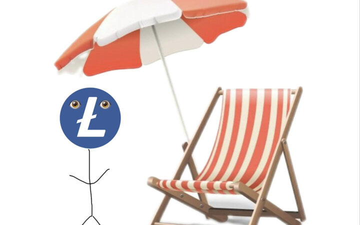 Solana Meme Coin Litecoin Mascot Surges to $120M Market Cap in Record Time
