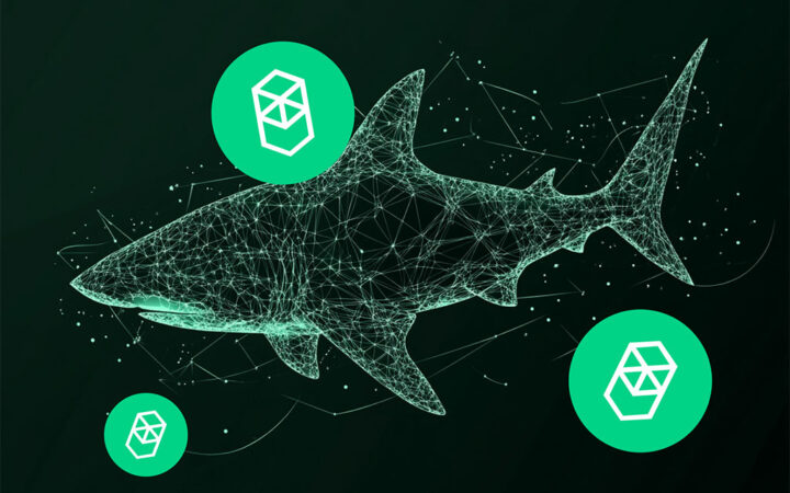 Why Fantom (FTM) and Toncoin (TON) Are Looking over Their Shoulders at This New DeFi Titan Predicted to 100x