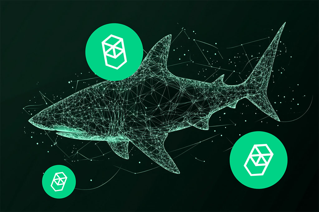 Why Fantom (FTM) and Toncoin (TON) Are Looking over Their Shoulders at This New DeFi Titan Predicted to 100x