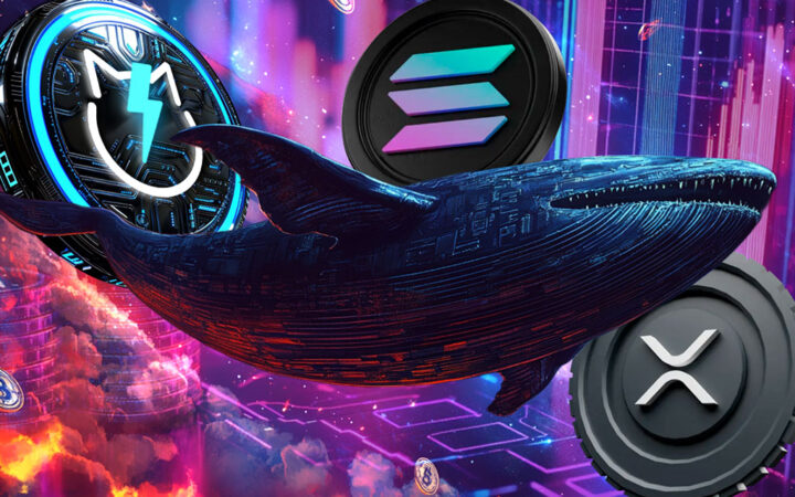 Will Whale Activity Cause JetBolt to Outperform Solana and XRP in Post-Election Surge
