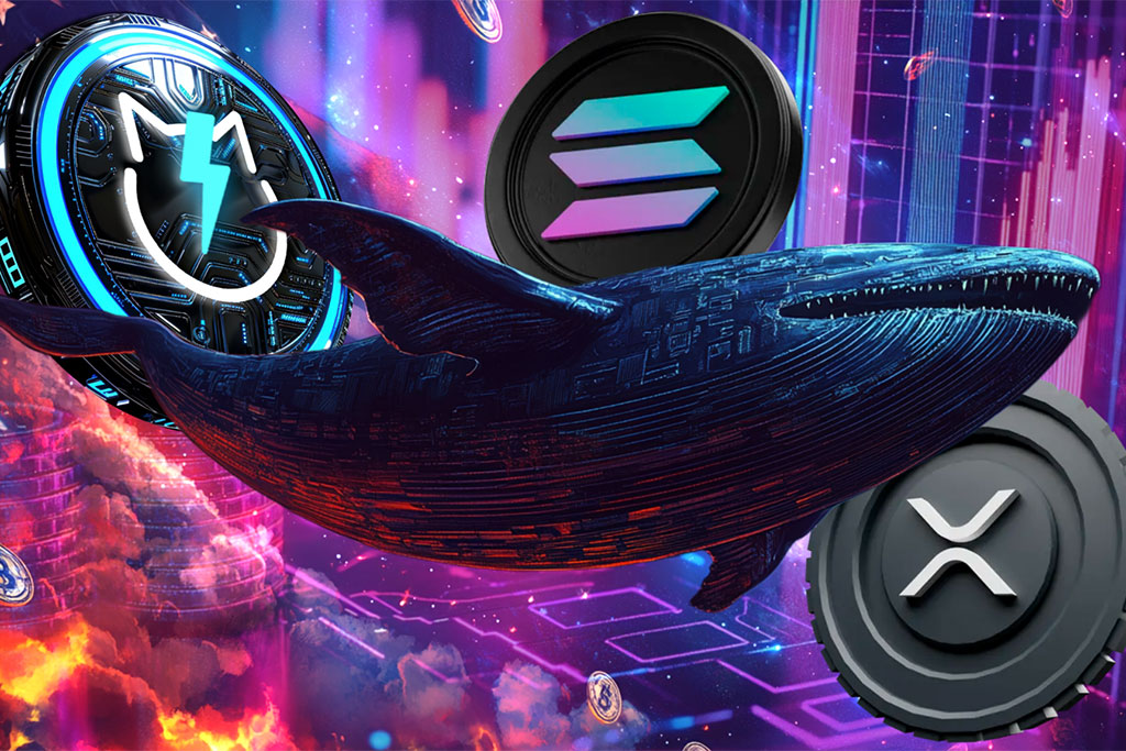 Will Whale Activity Cause JetBolt to Outperform Solana and XRP in Post-Election Surge