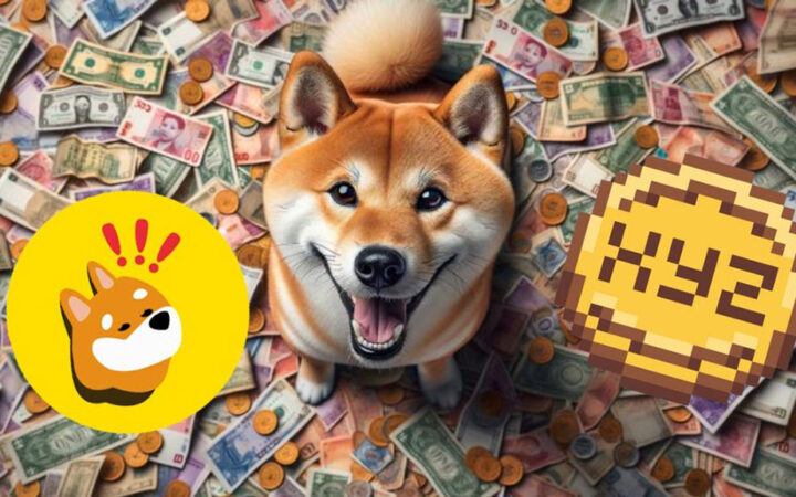 Dogecoin Millionaire Says BONK and XYZVerse Are Poised to Rule the Crypto Market in 2025!