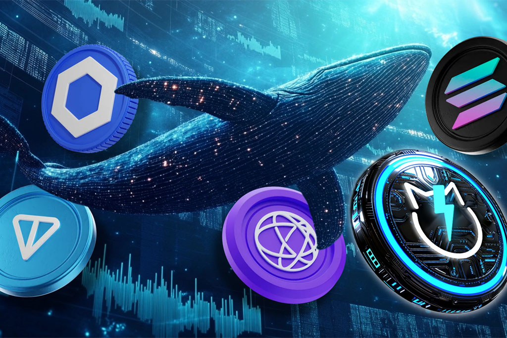 Crypto Whales’ Secret Altcoin Picks: Why Whales Are Buying Solana, JetBolt, Chainlink, and Toncoin