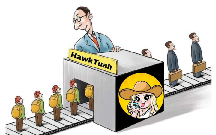 Hawk Tuah Meme Coin Sees Classic Pump and Dump with 90% Crash, What's Happening?