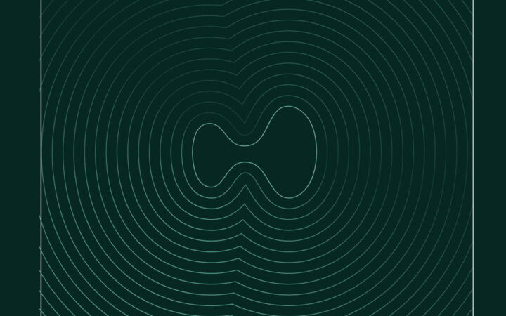 HyperLiquid Shatters Records with $500B Volume as Ether Dominates Trading