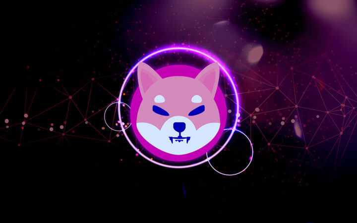 Shiba Inu Price Surges More than 11% over Past 7 Days despite Drop in Token Burns
