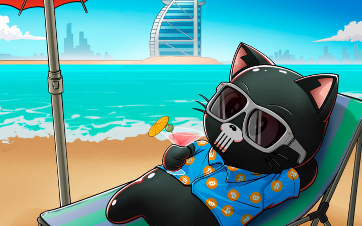 The Meme Coin Market Stalls This Holiday Season – Should You Gift Your Crypto Wallet Punisher Coin Instead?