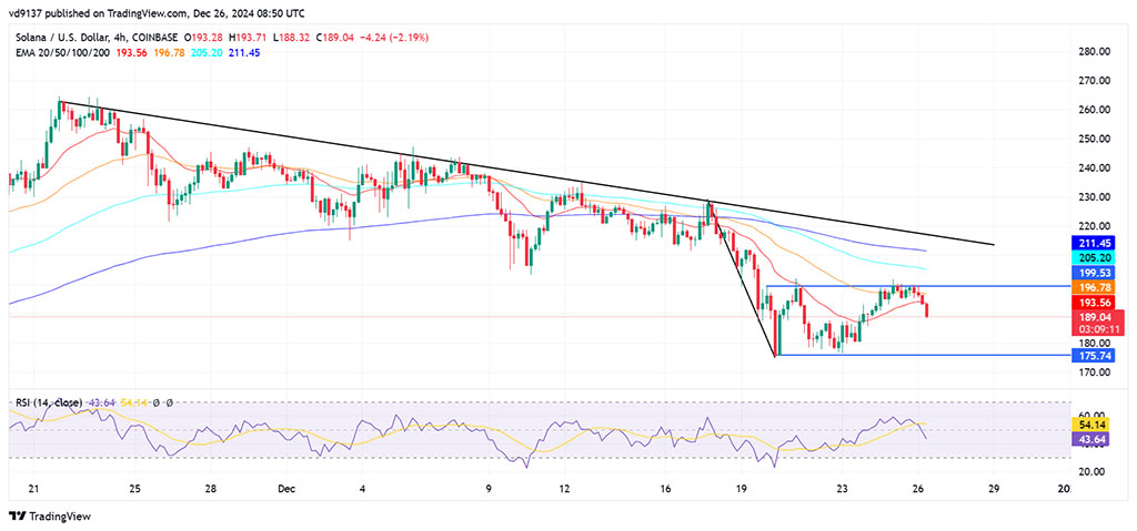 Solana Below $200: Will Record 2024 Gains Fuel Recovery in 2025?