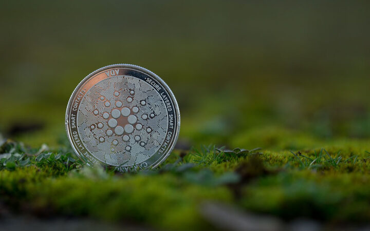Cardano (ADA) Eyes $1 Again, Analyst Says No Need to Panic