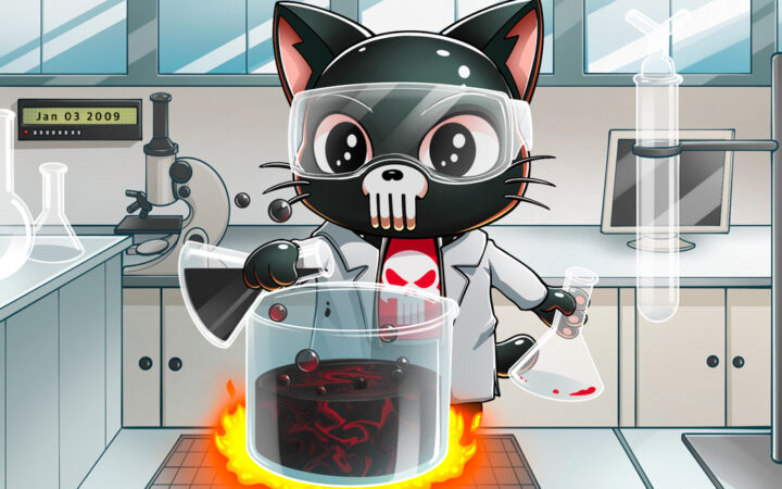 Can Punisher Coin Be the Meme Coin to Dominate This Bull Run and Outshine Dogecoin?