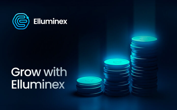 3 Coins With High ROI Opportunities: Dogwifhat, Bonk, Elluminex