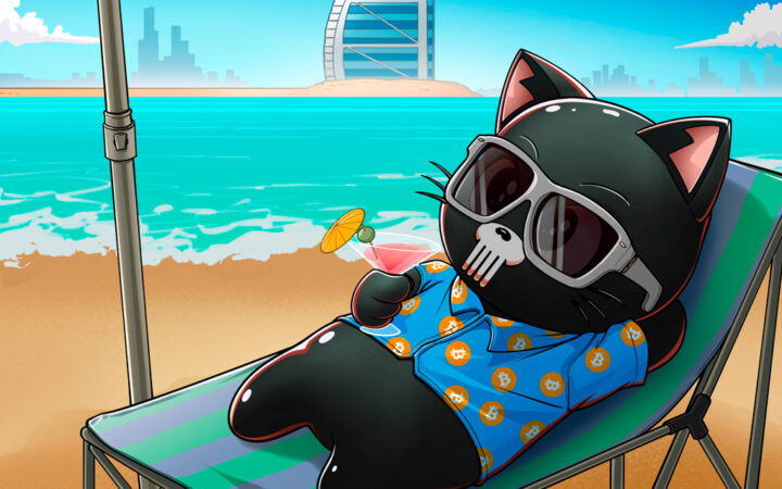 These Crypto Hidden Gems Could 10x This New Year – Punisher Coin, XRP, Fantom, POL, and Raydium