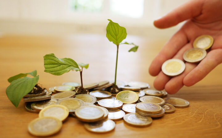 Crypto Trader Nets $2.5M Profit after Bold PIPPIN Investment
