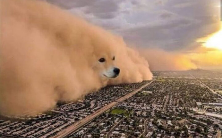 Elon Musk Fuels Fresh DOGE Buzz despite Price Hovering Near Flatline