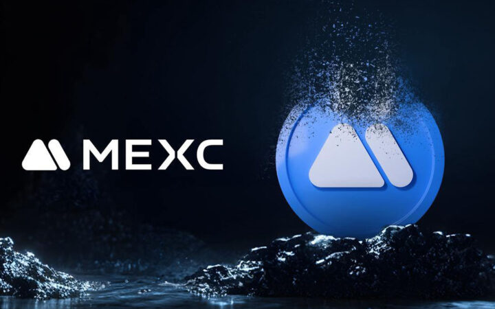 MEXC Completes Over $12 Million MX Token Burn in Q4 2024, Enhancing Token Value