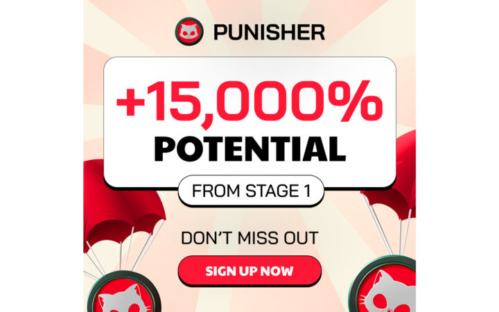 Punisher Coin Could Surpass Crypto Titans BNB & Bonk – Crypto Wealth For Those On The Whitelist