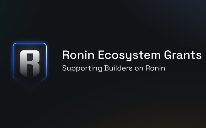 Ronin Network Launches $10M Grant Program for Developers