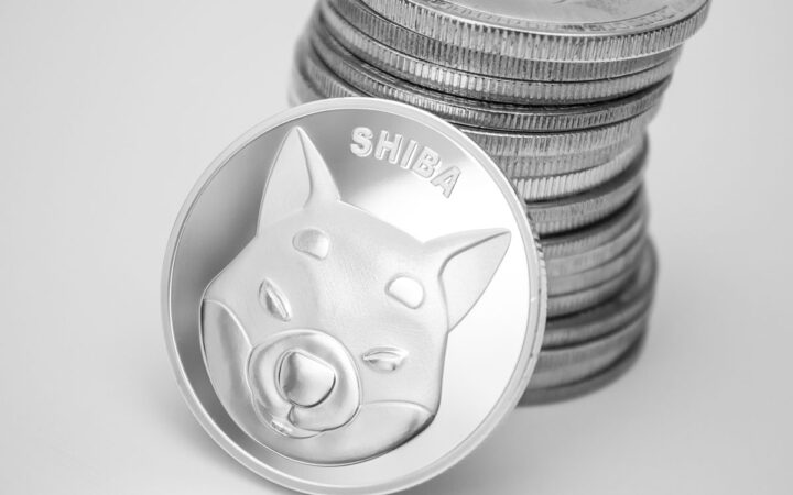 Shiba Inu Whale Seizes Market Crash to Acquire 257.5B SHIB for $4.6M