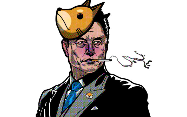 Why Crypto Analyst Are Backing Doge Uprising Over Established Players Shiba Inu and Hedera