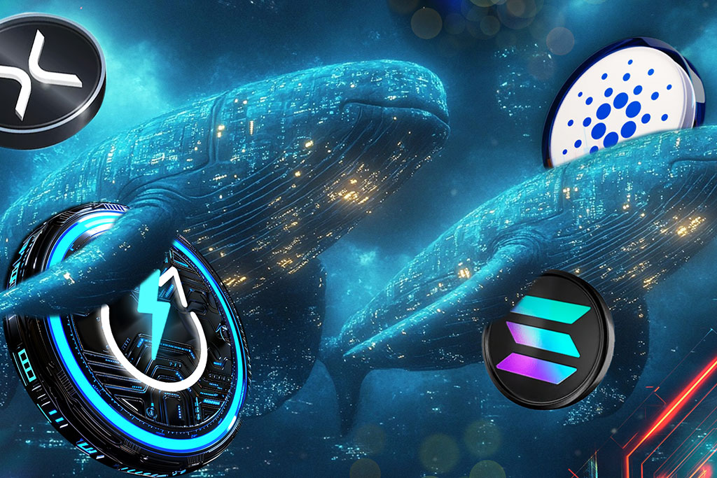 Why Crypto Whales Are Racing to Buy Solana, XRP, JetBolt, and Cardano