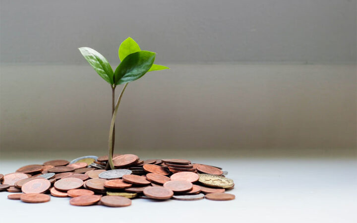 Solana Meme Coin $PAIN Raises $39.2M in Just Two Days