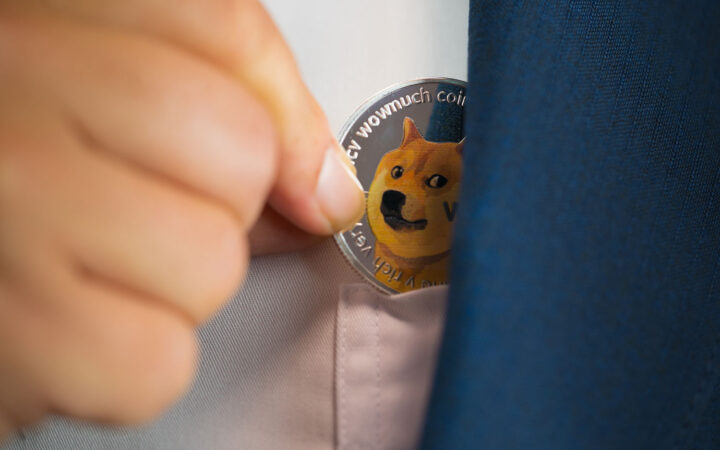Dogecoin Price Prediction: 20 or 30 Cents Next for DOGE amid Notable Decline in Whale Activity
