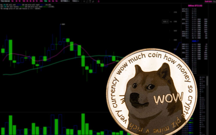 Dogecoin Whales Scoop 110M DOGE: Is $0.30 Next?