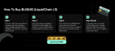 LiquidChain presale accepts crypto payments via wallet connection or credit card purchases with optional staking. Source: LiquidChain