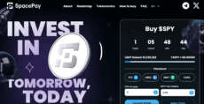 spacepay presale page