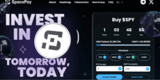 Spacepay presale showing the token price
