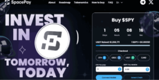 Spacepay presale page