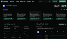 Coinsult audit of the Best Wallet smart contract, showing the various audit results