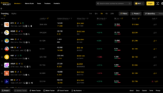 dashboard for Binance Wallet