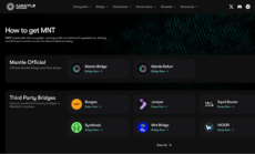 The Mantle homepage displaying ways to buy the MNT coin, which allows holders to participate in governance, staking and more